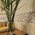 Ascot Ceramiche - Shiver