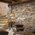 Rondine Group (Rhs) - London