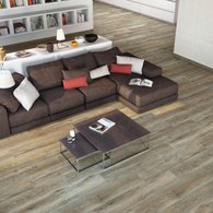 Porcelanite Dos - 1316