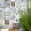 Delconca - Portland / Pl