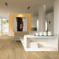 Rondine Group (Rhs) - Chalet