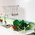 Marazzi Espana - Fresh