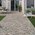 Rondine Group (Rhs) - Aurelia