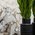 Rex Ceramiche - Etoile