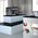 Porcelanite Dos - 7009