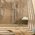 Villeroy&Boch - My Earth