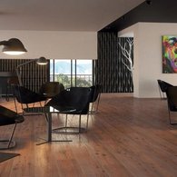 Porcelanite Dos - 3009