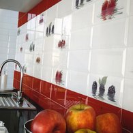 Monopole Ceramica - Magnum