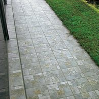 Rondine Group (Rhs) - Cobblewood