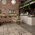 Argenta - Bronx