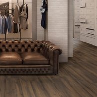 Rondine Group (Rhs) - Bricola