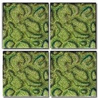 Architeza - Chameleon