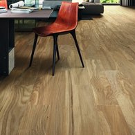 Porcelanite Dos - 6610