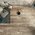 Impronta - Scrapwood