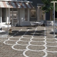 Rondine Group (Rhs) - Aurelia