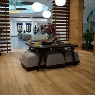 Porcelanosa - Ascot