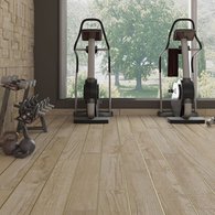 Rondine Group (Rhs) - Salvage