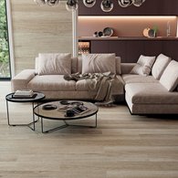 Porcelanite Dos - 6611