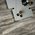 Ascot Ceramiche - Gemstone