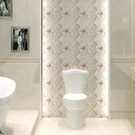 Newpearl Ceramics Group - 62013