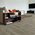 Rondine Group (Rhs) - Chalet