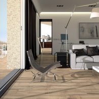 Porcelanite Dos - 1301